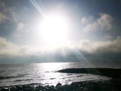 -吴淞炮台湾湿地森林公园烧烤区