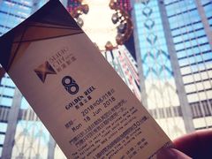 -影汇之星8字形摩天轮