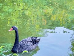 -沈阳森林动物园