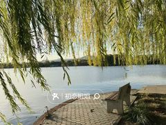 -石家庄市植物园