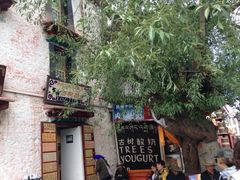 门面-古树酸奶(八廓南街店)