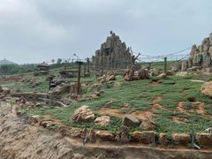 -石家庄市动物园