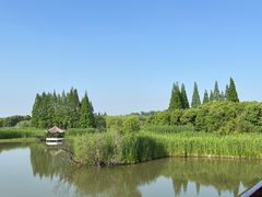 -沙家浜风景区