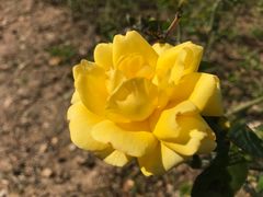 -漩门湾国家湿地公园