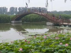 -白洋淀景区