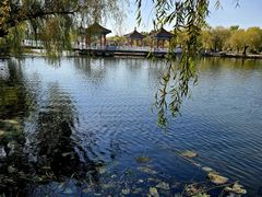 -长春市南湖公园