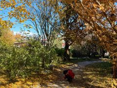 -国家植物园南园