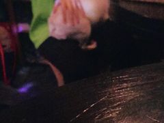 -The Tiki Bungalow提基小木屋酒吧