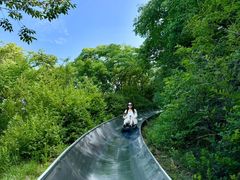 -富斯特索道