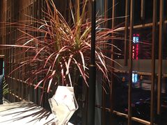 -柴门头啖汤·经典川菜·慢火汤品(锦城万达店)