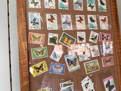 -蝶舍·MAISON PAPILLON