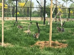 -石家庄市动物园