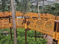-呀路古热带植物园