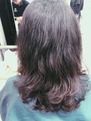 -潘多拉Hairsalon