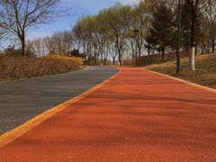 -大兴滨河森林公园