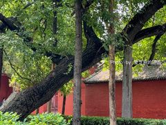 -洛阳白马寺