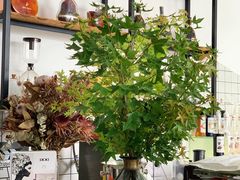 -JF Garden(渔人码头店)