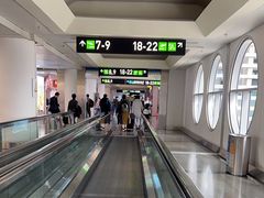 -厦门高崎国际机场-T3航站楼