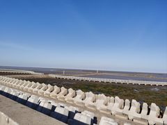 -春花秋色城市公园