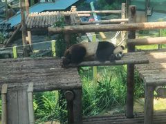 -大连森林动物园