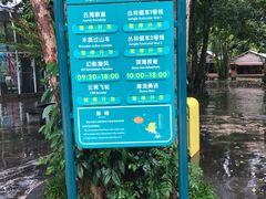 -东部华侨城