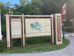 -阳台山森林公园