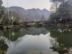 -中国茶叶博物馆(双峰馆区)