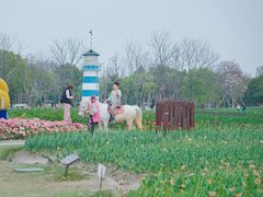 -周浦花海-停车场
