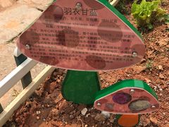 -天河儿童公园