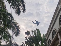 -林氏圆子(胞波路店)