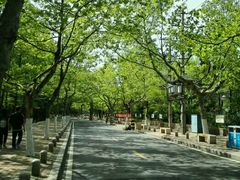 -北戴河集发农业梦想王国
