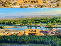 -新疆国际大巴扎