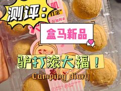 -盒马鲜生(皇庭广场店)