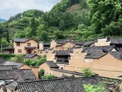 -杨家堂村