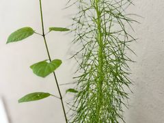 -Maxpoint Kitchen 西餐咖啡(乐峰广场店)