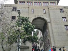 -武汉大学-樱园