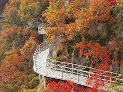 -明堂山风景区