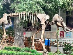 -中国第四纪冰川遗迹陈列馆