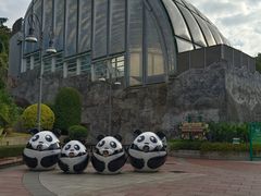 -石排湾郊野公园