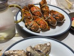 -杨氏青龙虾·羊蝎子(托乐嘉店)