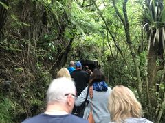 -怀托摩萤火虫洞