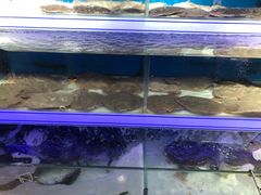 -盒马鲜生(岭南新世界店)