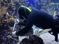 -新加坡海洋生态馆