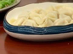 猪肉韭菜水饺-石老头关东饺子王·东北菜(嘉华鑫城店)