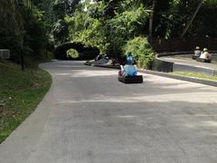 -圣淘沙天际线斜坡滑车
