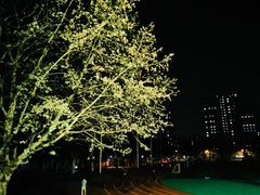 -中南财经政法大学(首义校区)