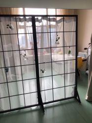 -净妍美肌专业净毛嫩肤连锁机构