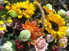 -双季花艺园艺市场(浦东店)
