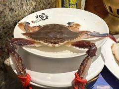 -初色海鲜自助(万丰路店)