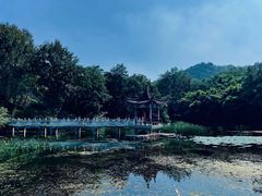 -青龙山国家森林公园